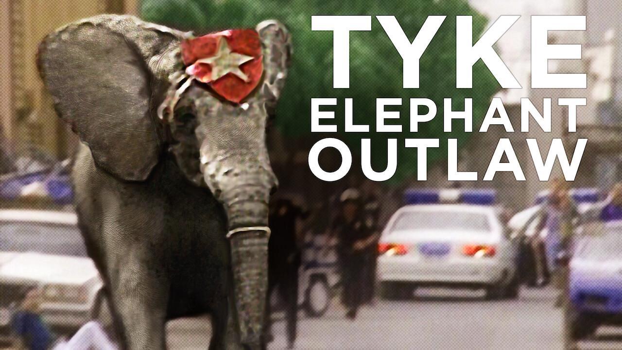 فيلم Tyke Elephant Outlaw 2015 مترجم كامل HD
