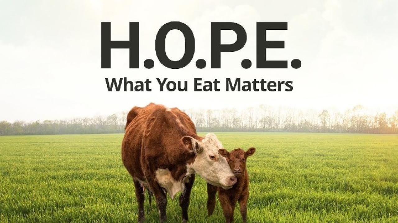فيلم H.O.P.E What You Eat Matters 2016 مترجم كامل HD