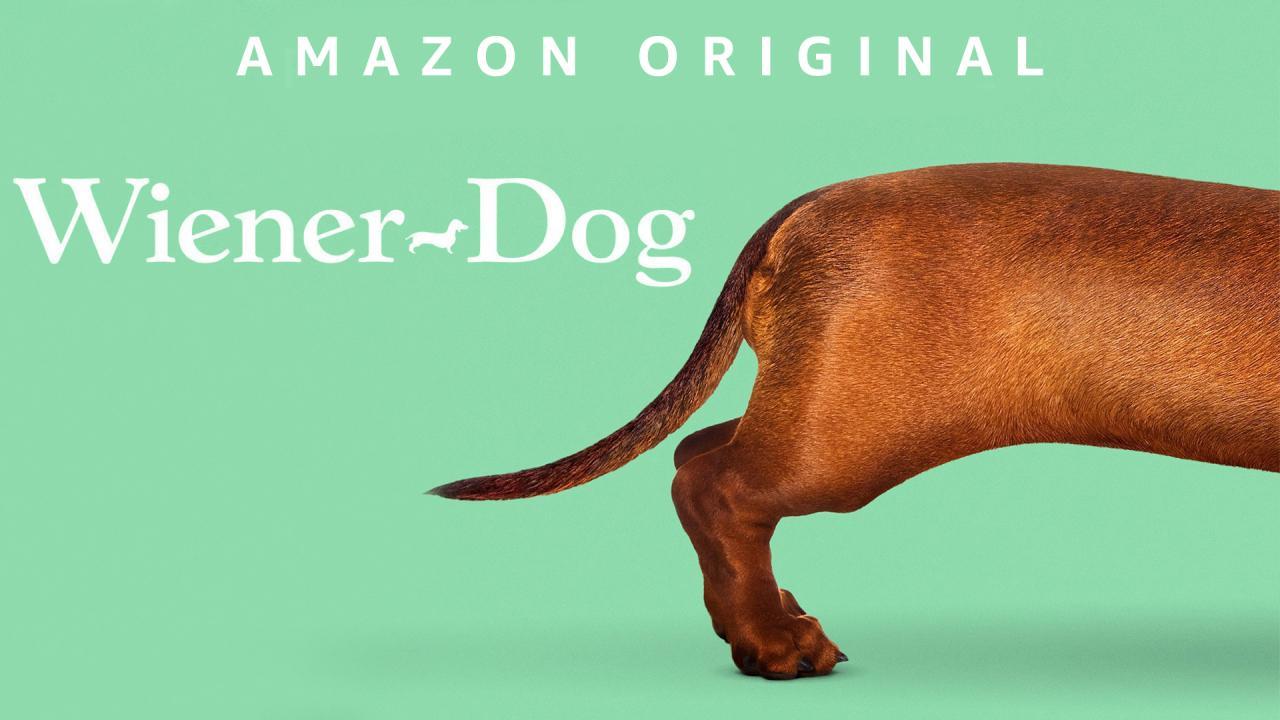 فيلم Wiener-Dog 2016 مترجم كامل HD