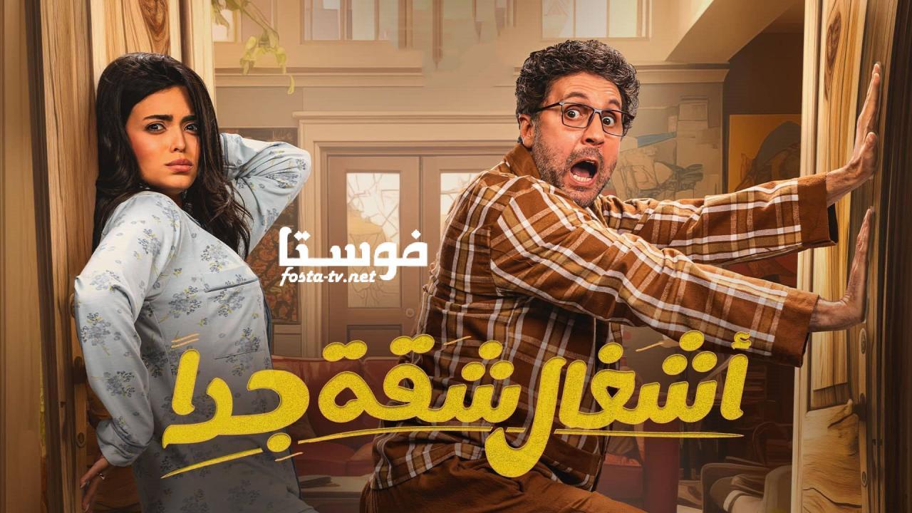 مسلسل أشغال شقة 2