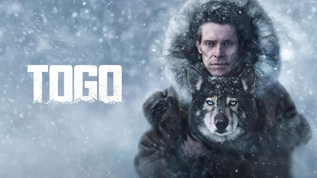 فيلم Togo 2019 مترجم كامل HD